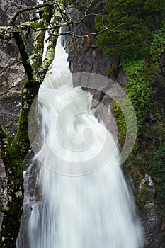 Tree in the foreground and waterfall in the background. Arado waterfall photo