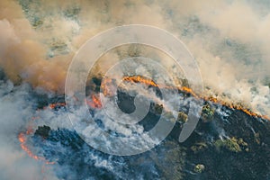 Tree Forest Fire, Woodland Burning with Flame and Smoke, Aerial View