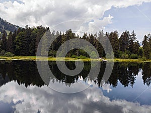 Tree forest reflection in alpine mountain lake Schwendisee Wildhaus Unterwasser Toggenburg St Gallen Switzerland alps