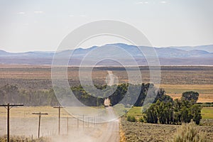 Tree form a tunnel at Elko County