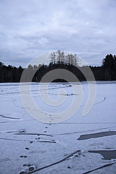 Tree Formation in the Center of Pond Covered in Ice and Snow