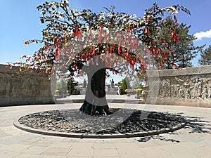 Prayer Tree Da Tong Temple