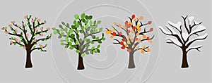 Tree in four season graphic design. Pink blossom, orange leaves, white snow and green leaves.