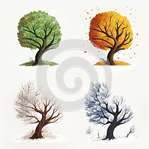 tree in four seasons