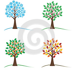 Tree in four seasons - spring, summer, autumn, winter