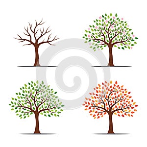 Tree in four seasons - spring, summer, autumn, winter. Isolated on white background. Abstract image.