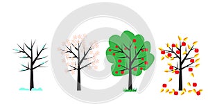 A tree in four seasons. Spring summer autumn and winter tree. Vector illustration