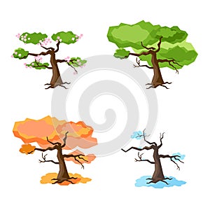 Tree in four seasons - spring, summer, autumn, winter. Vector illustration. Isolated on white background. Set of trees