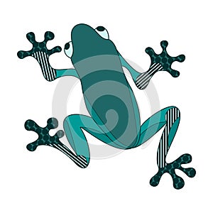 Tree frog design doodle. Vector.