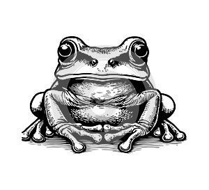 Tree Frog hand drawn vector graphic