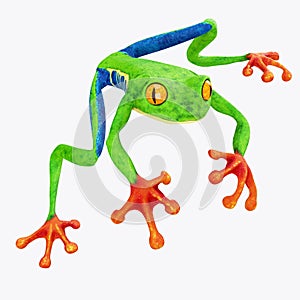 Tree Frog isolated on White Background