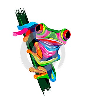 Tree frog from multicolored paints. Splash of watercolor, colored drawing, realistic photo