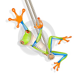 Tree frog on a swing