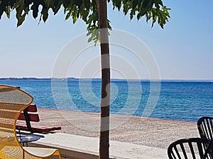 tree in front of a chair and sea