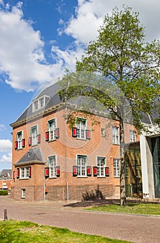 Tree in front of the historic town hall of Veendam photo