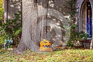 Tree in front of shaded house with orange trash bag with Halloween face and filled with autumn leaves propped against it