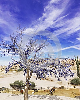 A tree full of blue eyes(evil eyes nazar), standing in the field.