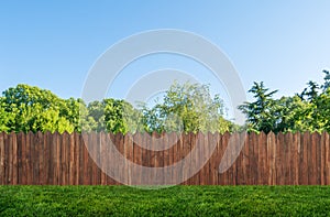 Tree in garden and wooden backyard fence with grass