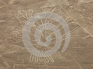 Tree geoglyph, Nazca mysterious lines and geoglyphs