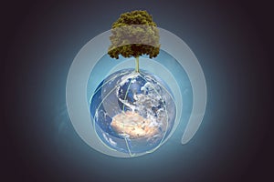 Tree on a globe photo