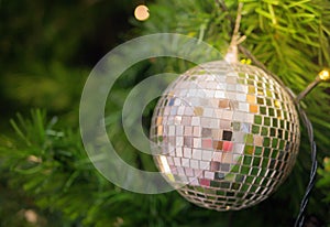 Tree of gourd and bottle gourd