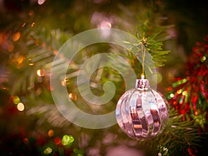 Tree of gourd and bottle gourd