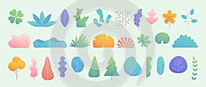 Tree gradation. Leaf nature, different leaves simple minimal set for decor with fantasy drawing elements, cartoon