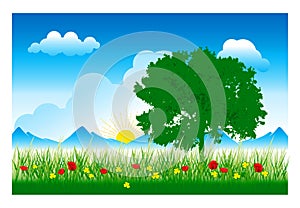 Tree and Grass (Vector)