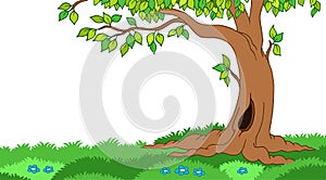 Tree in grassy landscape