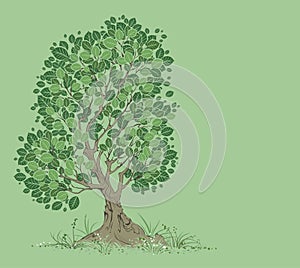 Tree on a green background