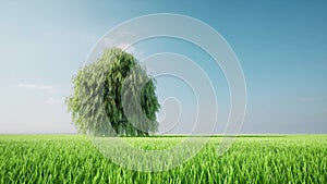 Tree grow up green grass field landscape eco concept nature environmental 3d