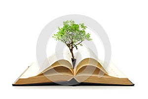 Un árbol creciente un libro 