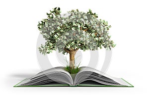tree growing from book A big open book with coins and tree Reading makes you richer concept 3d render photo