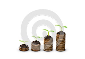 Tree growing on coins