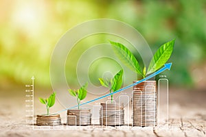 Tree growing on coins stack and growing graph for saving money and business finance