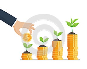 Tree growing on coins stack. growth and save business concept. steps to money success.