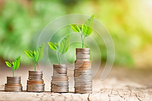 Tree growing on coins stack for saving money concept