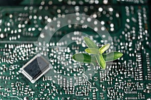 Tree growing on the converging point of computer circuit board. Green computing, Green technology, Green IT, CSR, and IT ethics.