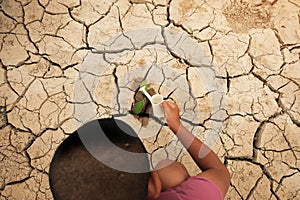 A tree growing on cracked ground. Crack dried soil in drought, Affected of global warming made climate change. Water shortage.