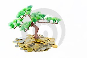 Tree growing on golden coins