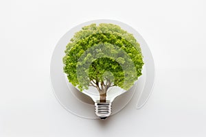 Tree Growing Inside Electric Lightbulb To Illustrate Renewable Sustainable Energy Supply