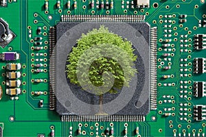 TREE GROWING ON MICROCHIP SYMBOLIZING GREEN TECHNOLOGY AND SUSTAINABLE ELECTRONICS - Fusion of nature and technology