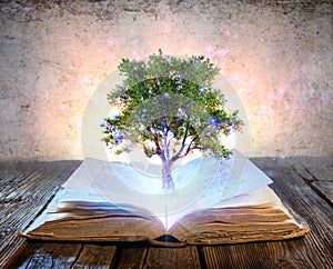 Tree Growing From The Old Book