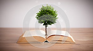 Tree growing from an open book