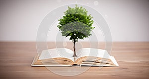 Tree growing from an open book