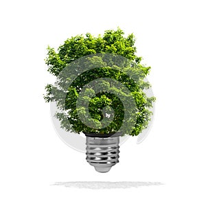 Tree growing out of bulb - green energy eco concept