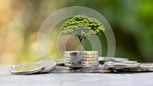 A tree growing on a pile of coins and green background.