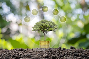 A tree growing on a pile of coins and a green background