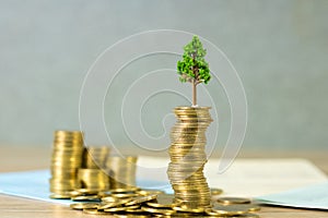 Tree growing on pile of golden coins and account book or credit