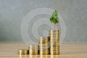 Tree growing on pile of golden coins, growth business finance in